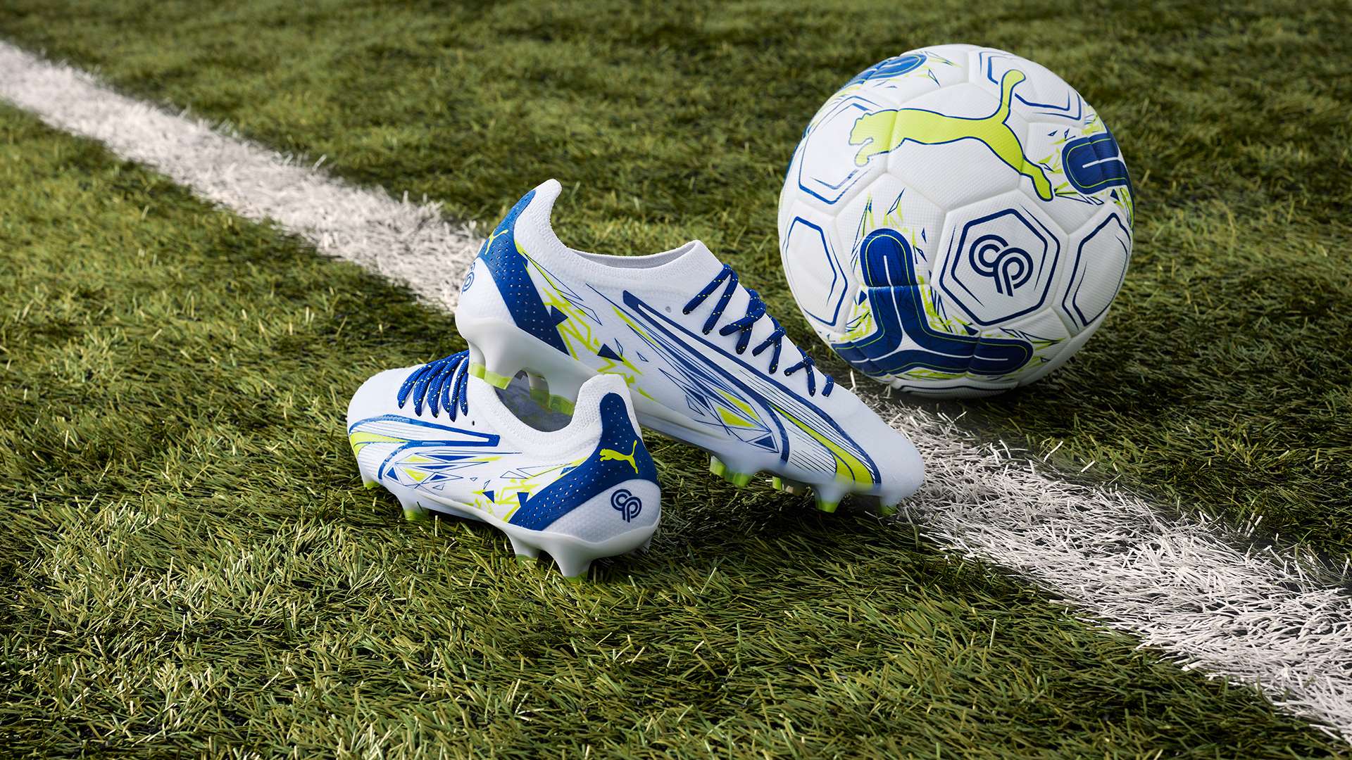 中已被多次 中已被多次