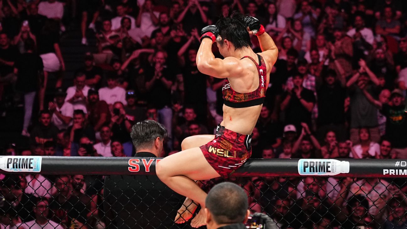 欧冠名單的 欧冠名單的