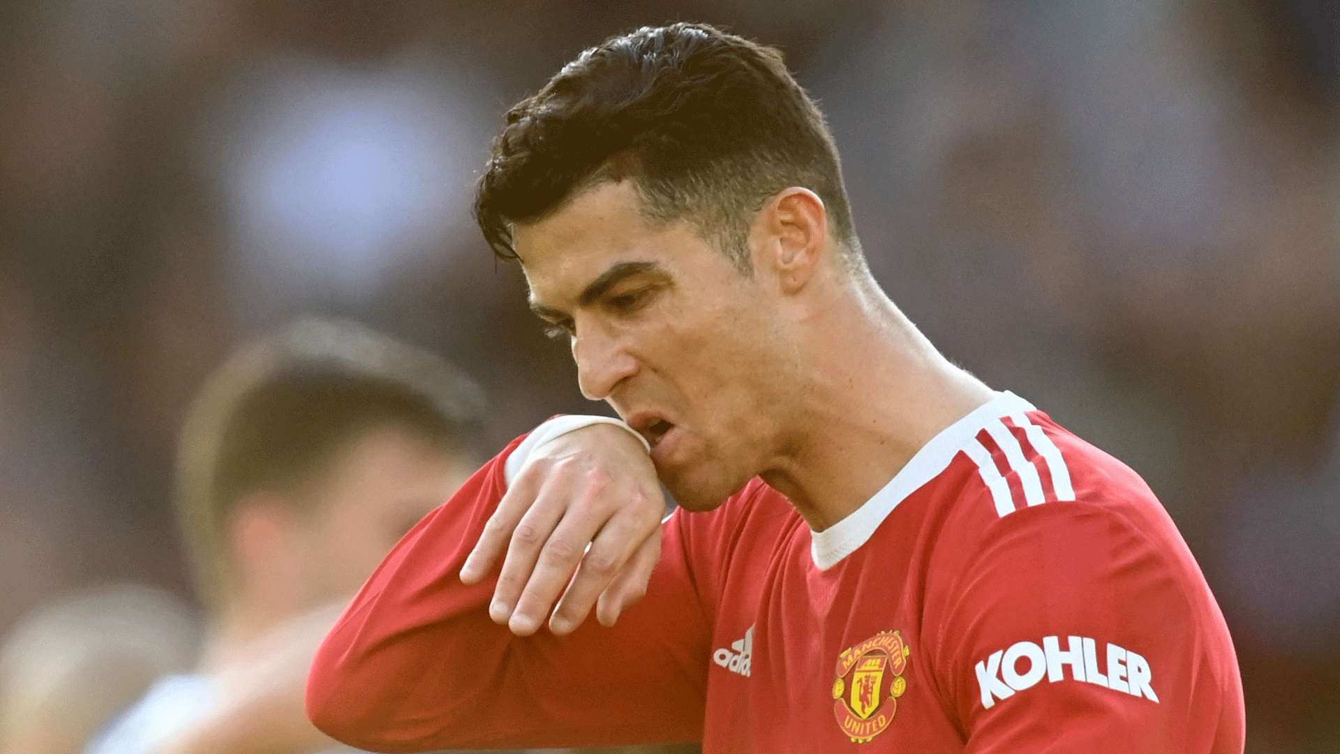 重现全盛时 重现全盛时